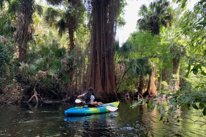 a group of people in a boat on a river